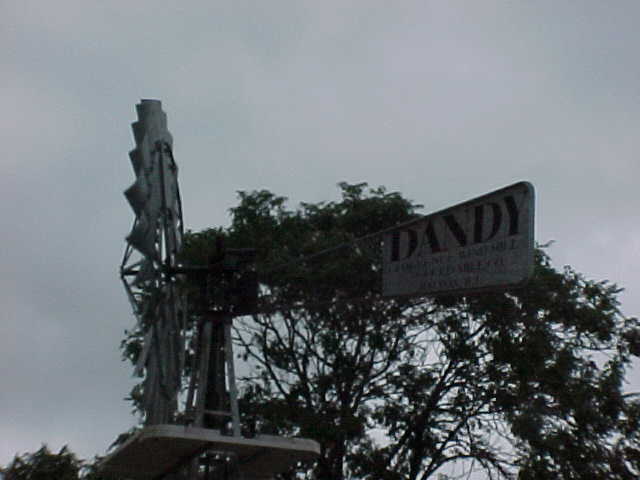 dandya.jpg