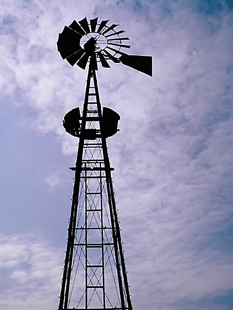 dcfc0083.jpg
