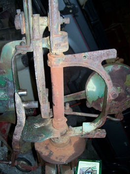 mastfosstailbone.jpg