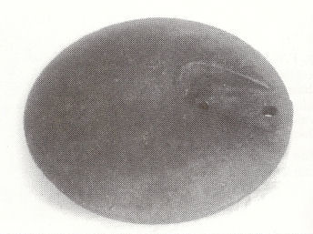 monldisc.jpg